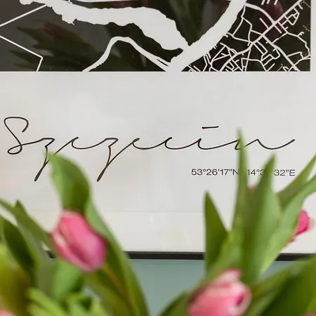 Langiewicza Deluxe By Bookinghost * Estetino