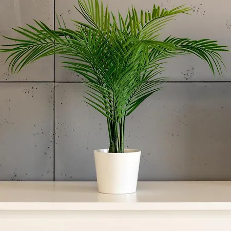 Langiewicza Deluxe By Bookinghost 아파트 슈체친