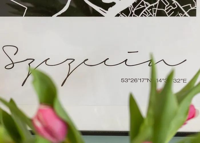 Langiewicza Deluxe By Bookinghost * Szczecin