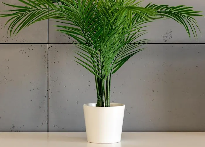 Langiewicza Deluxe By Bookinghost Apartament Szczecin